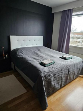 Miller Apartment - Free parking, airport 21min